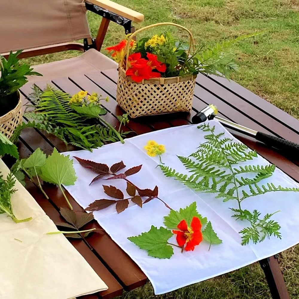 5 Best Botanical Dyeing Kits
