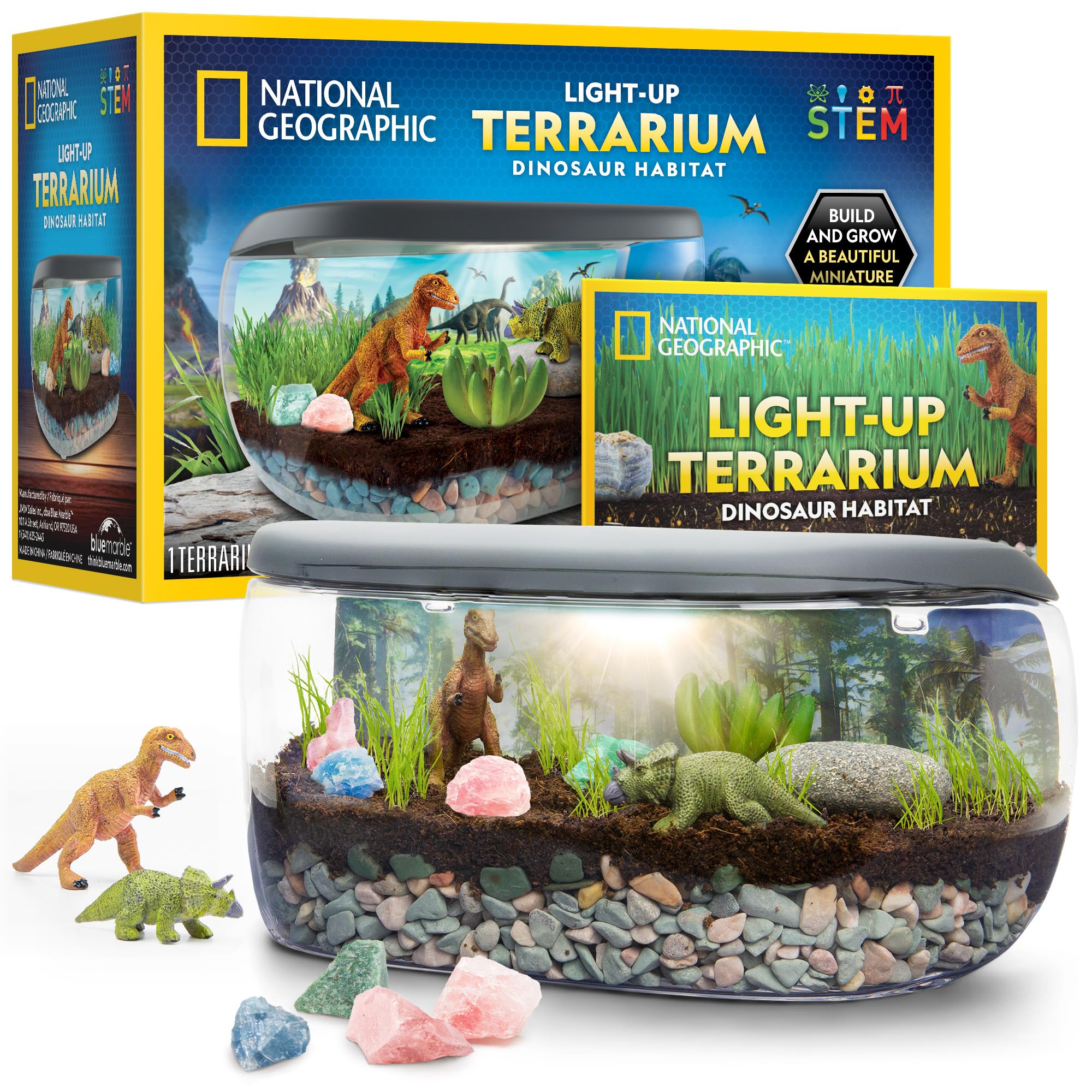 5 Best Terrarium And Plant Craft Kits
