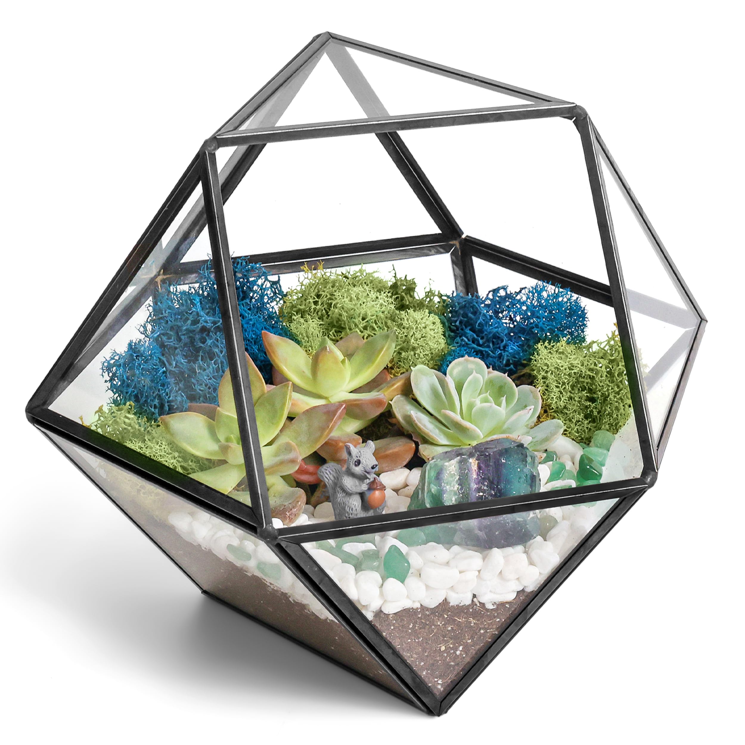 8 Best Terrarium And Plant Craft Kits