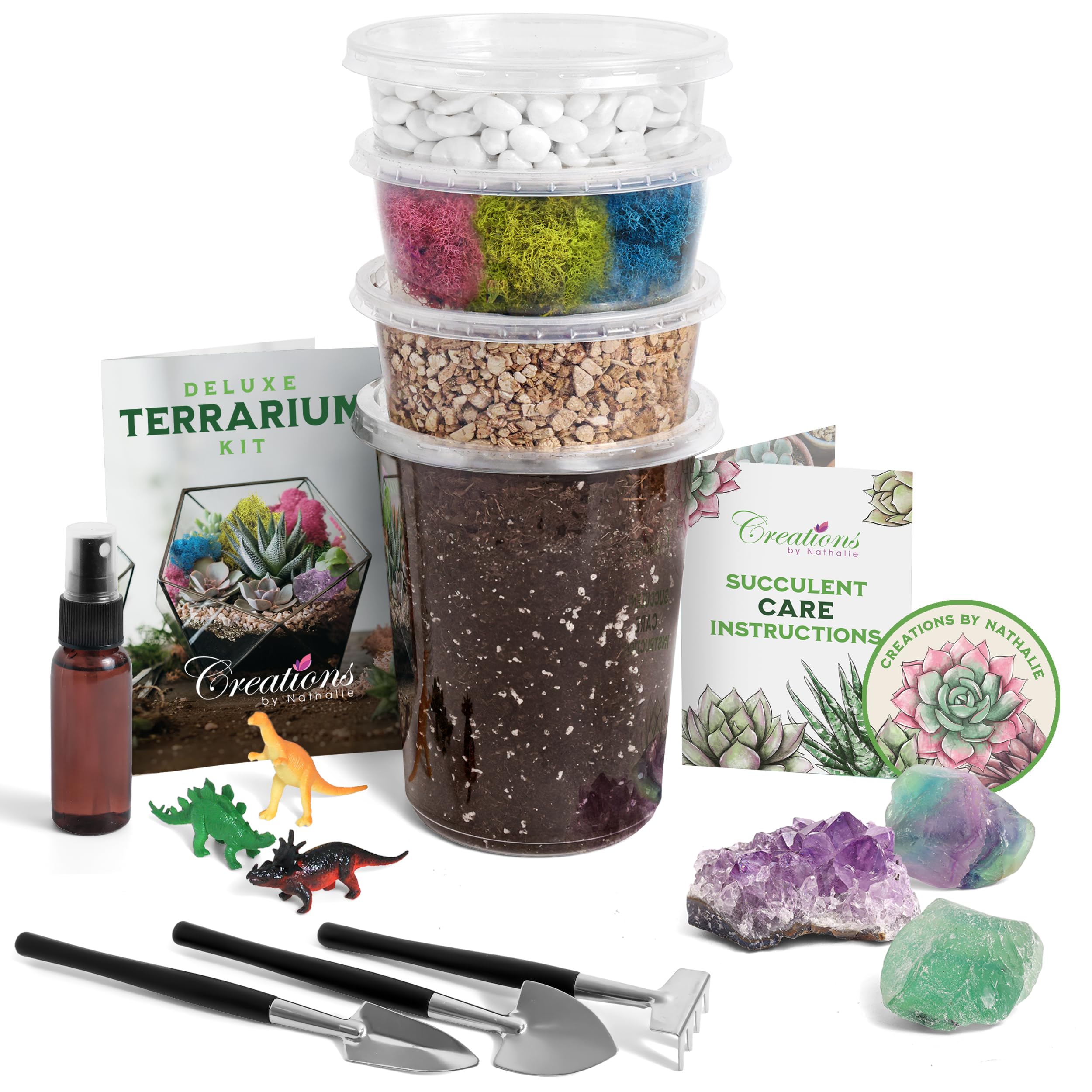 9 Best Terrarium And Plant Craft Kits