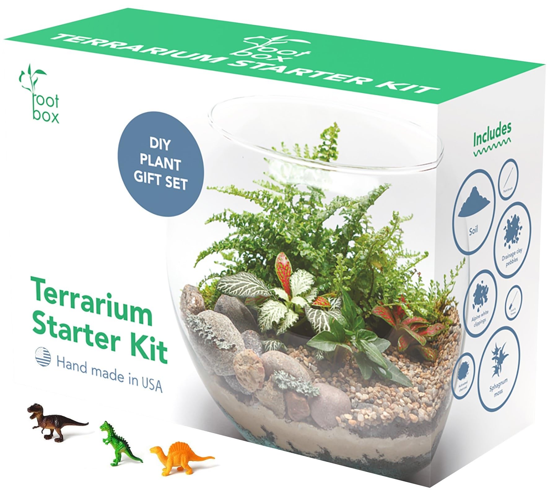 Best Terrarium And Plant Craft Kits